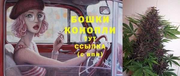 МДМА Бородино